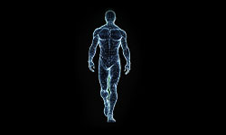 Walking Pattern