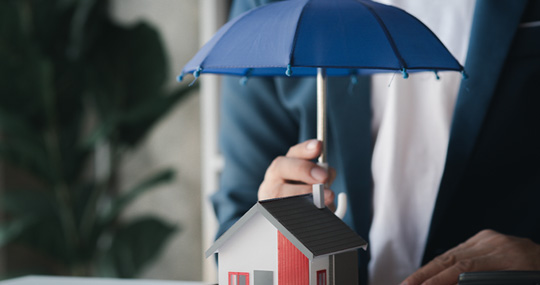 single-blog-tab-img1