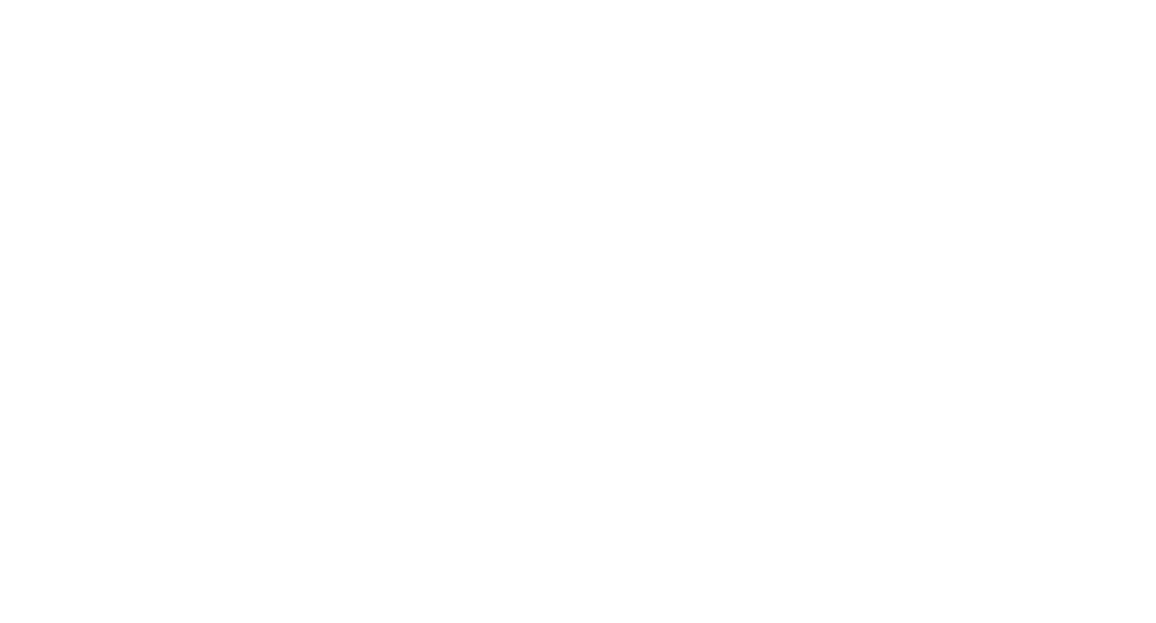 MPZ Bearings Pvt Ltd